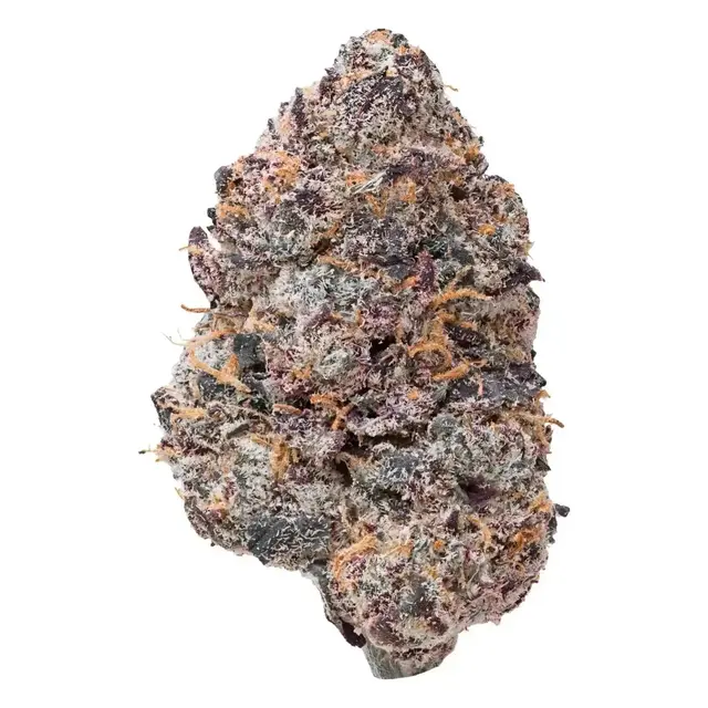 Purple Certz | Hybrid | 3.5
